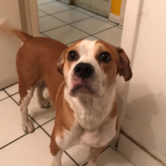 Meet your Posher, Michael - Picture 1 of 1